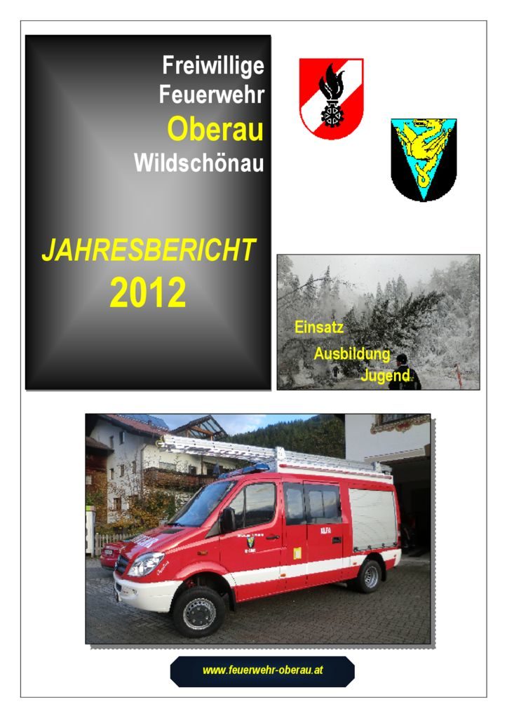 thumbnail of JAHRESBERICHT 2012_klein